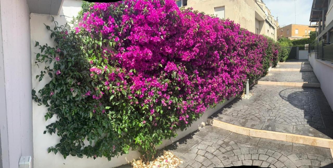 The Shabby House - Charming Seaside Retreat In Central Anzio, Steps From Beach And Train Station Exterior foto